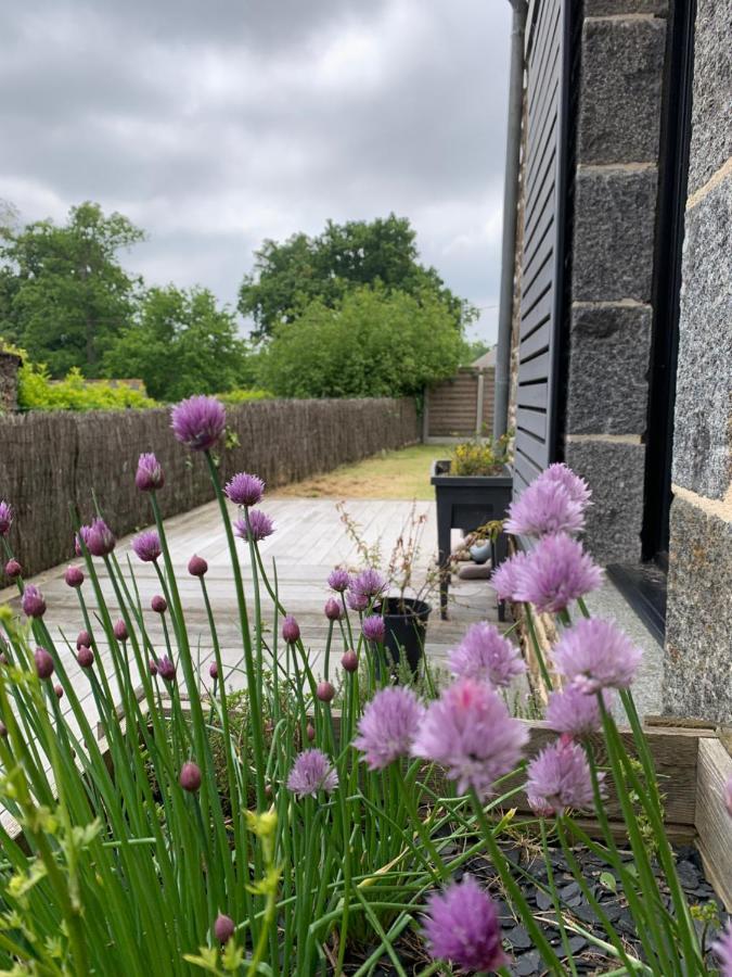 La Maison D'Aurelie Pleudihen-sur-Rance Eksteriør billede